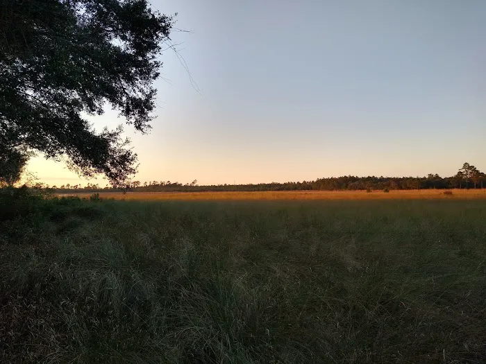 Hopkins Prairie Campground 2