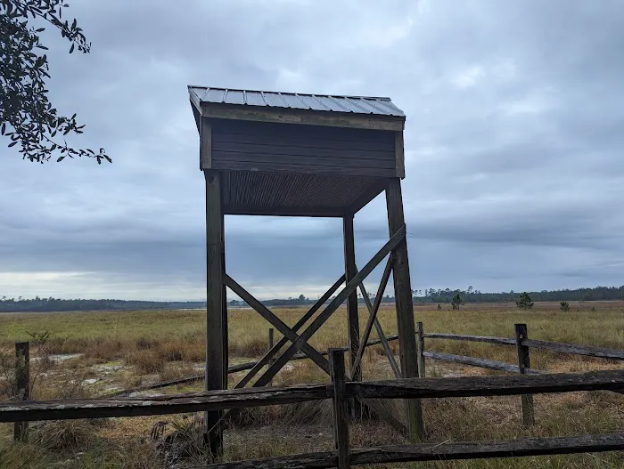 Hopkins Prairie Campground 1