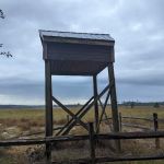 Hopkins Prairie Campground