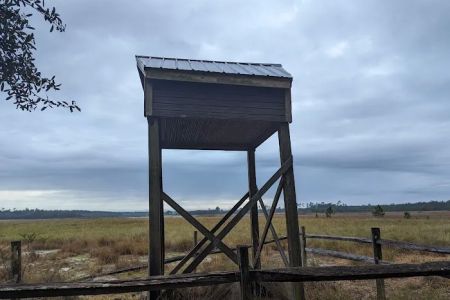 Hopkins Prairie Campground