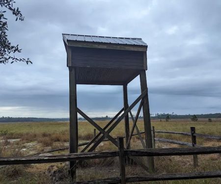 Hopkins Prairie Campground