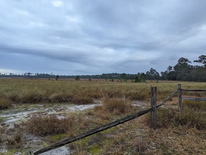 Hopkins Prairie Campground 5