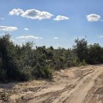 Ocala National Forest RV Park on Sunrise Lake