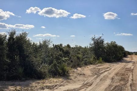 Ocala National Forest RV Park on Sunrise Lake
