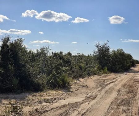 Ocala National Forest RV Park on Sunrise Lake