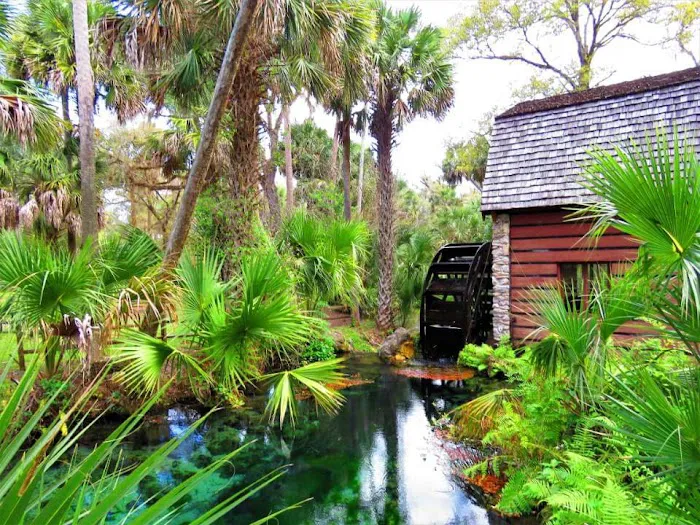 Juniper Springs Recreation Area 2