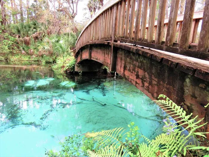 Juniper Springs Recreation Area 1