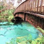 Juniper Springs Recreation Area