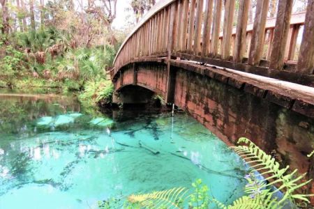 Juniper Springs Recreation Area