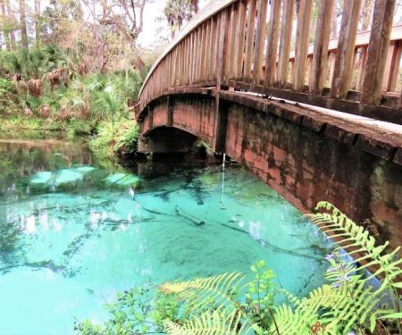 Juniper Springs Recreation Area