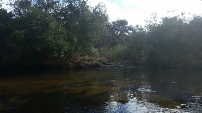 Juniper Springs Recreation Area 6