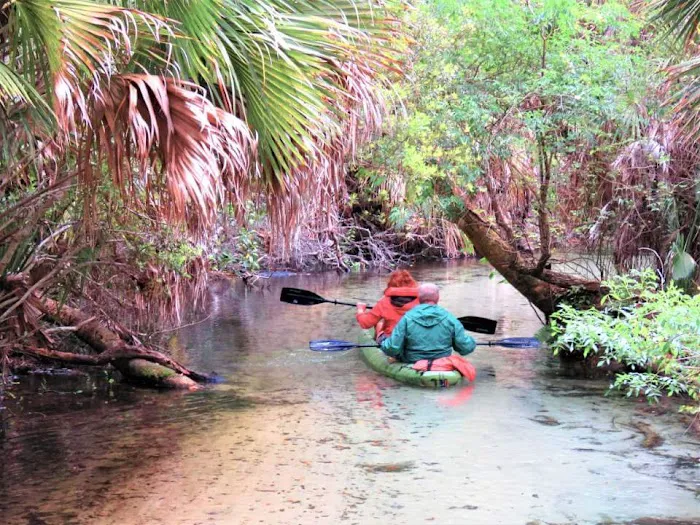Juniper Springs Recreation Area 5