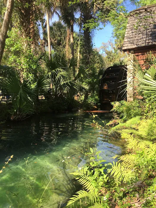 Juniper Springs Recreation Area 10
