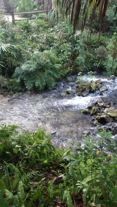 Juniper Springs Recreation Area 8