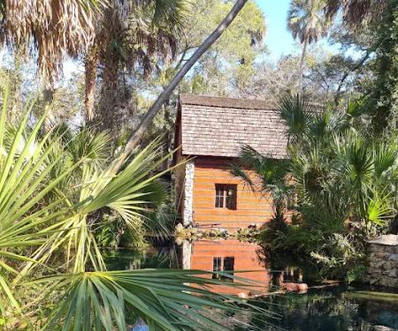 Juniper Springs Campground