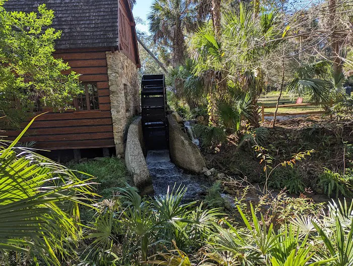 Juniper Springs Campground 3