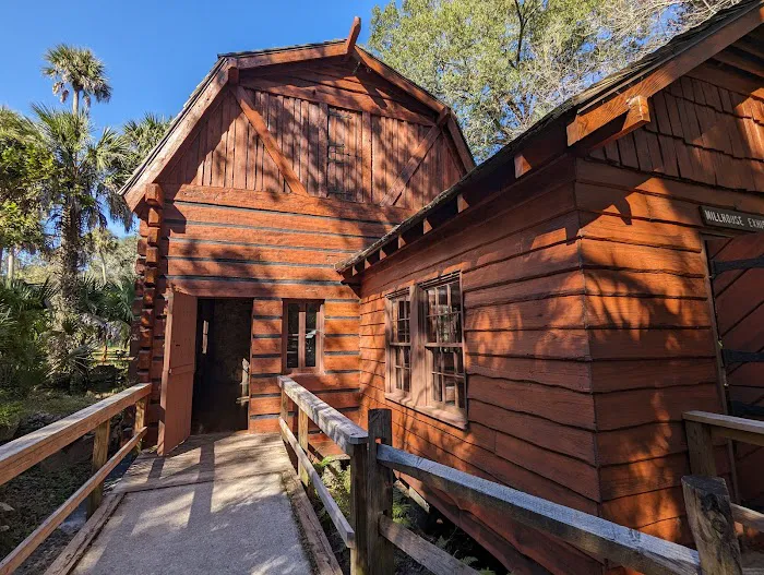 Juniper Springs Campground 4