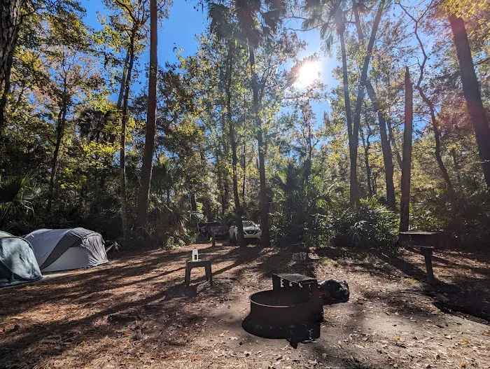 Juniper Springs Campground 6