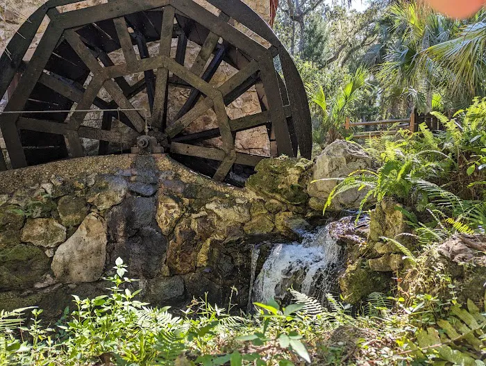 Juniper Springs Campground 10