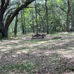 Ocklawaha Prairie Campgrounds