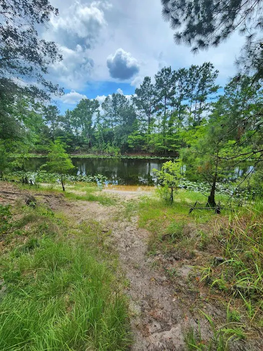 Ocklawaha Prairie Campgrounds 3