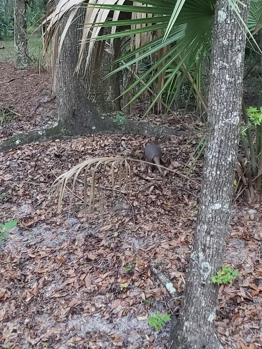 Ocklawaha Prairie Campgrounds 6