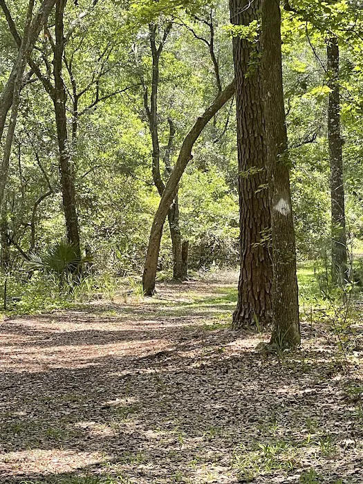 Ocklawaha Prairie Campgrounds 4