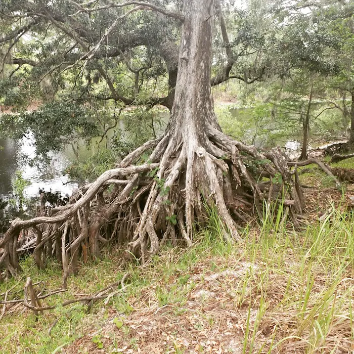 Ocklawaha Prairie Campgrounds 9