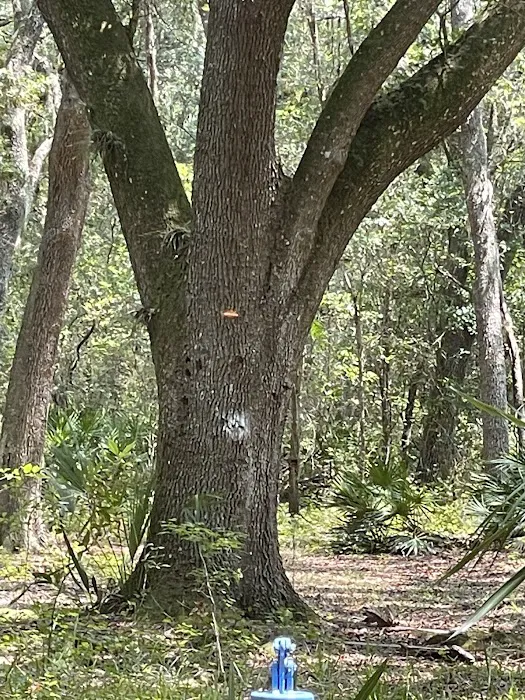 Ocklawaha Prairie Campgrounds 7