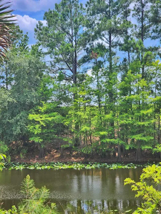 Ocklawaha Prairie Campgrounds 10