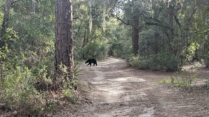 Lake Mary (recgovnpsdata) 7