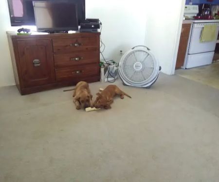 Timber Creek Mobile Home Park