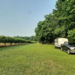 CJ Orchard Harvest Host