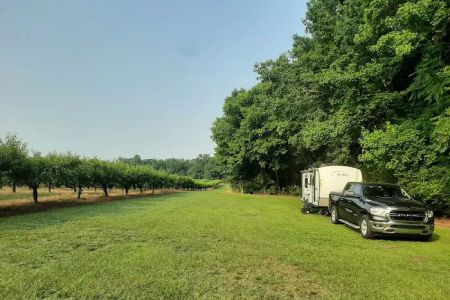 CJ Orchard Harvest Host