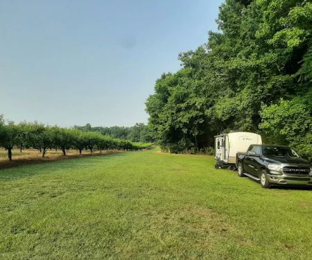 CJ Orchard Harvest Host