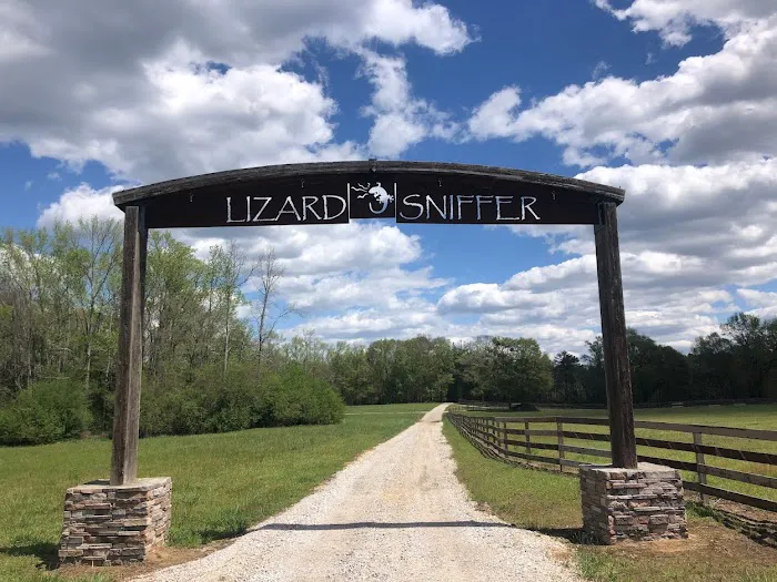 Lizardsniffer 2
