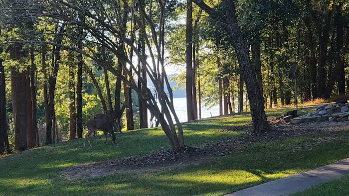 Parks Ferry Public Recreation Area 6