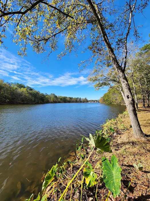 Parks Ferry Public Recreation Area 7