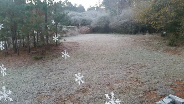 FireFly Farm and Camp 1