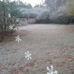 FireFly Farm and Camp