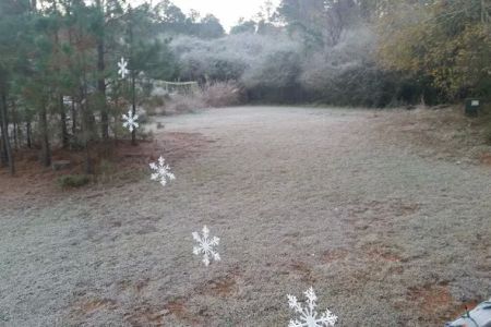 FireFly Farm and Camp