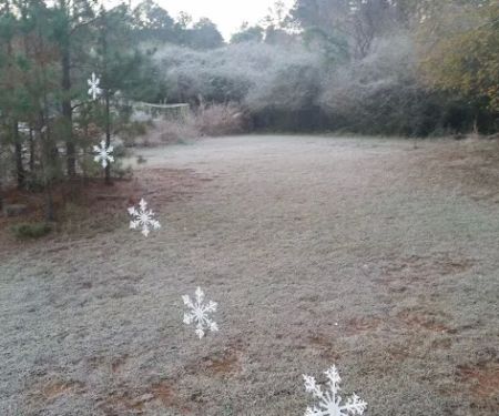 FireFly Farm and Camp