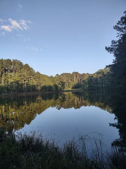 FireFly Farm and Camp 6