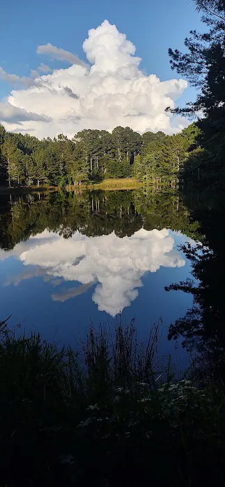 FireFly Farm and Camp 7