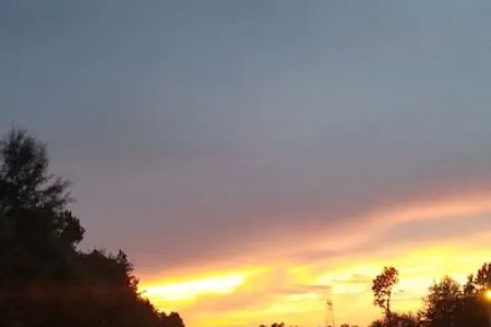 Hawkins RV Park