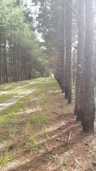 Hawkins RV Park 5