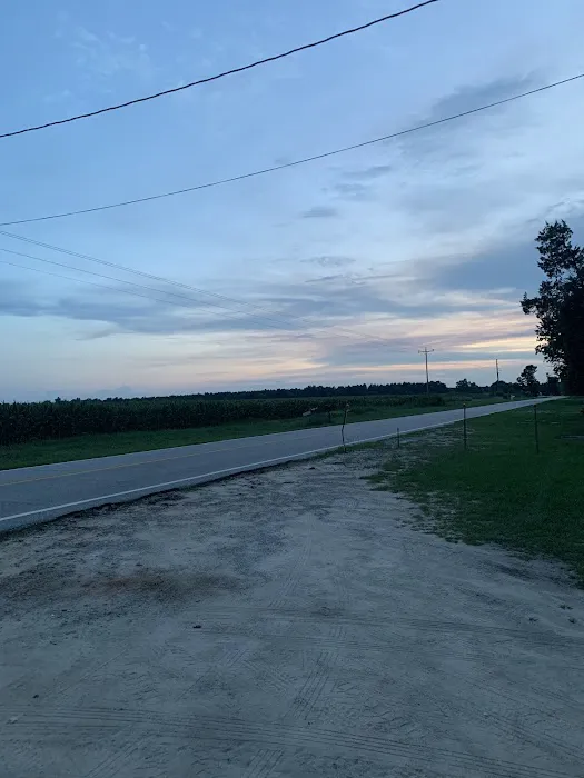 Shellbluff RV Park 2