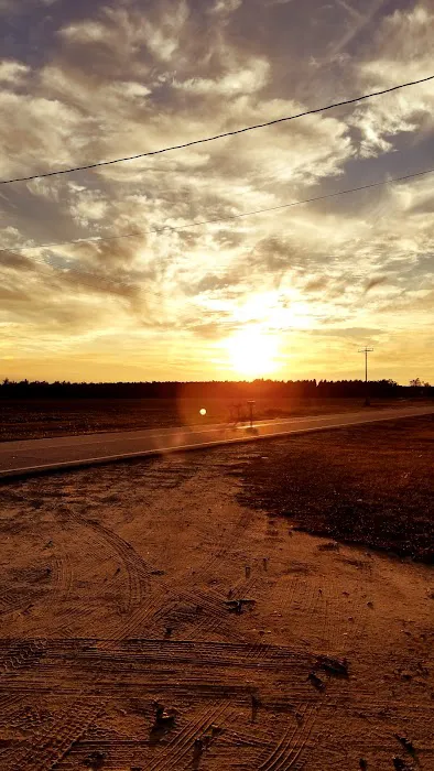 Shellbluff RV Park 8