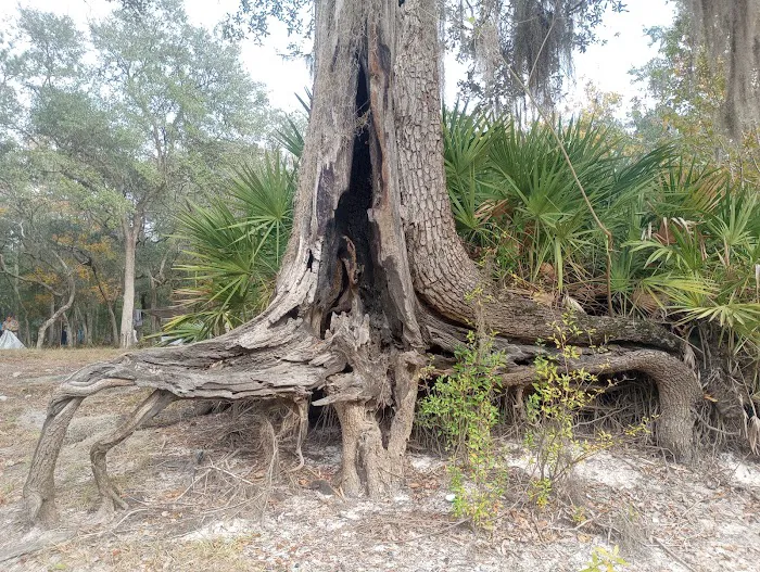 Barrington County Park 8
