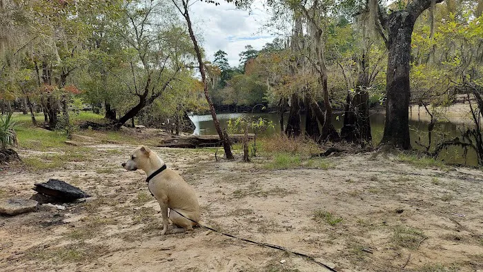 Barrington County Park 7